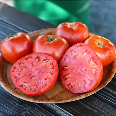 Grow Tomatoes from Seed